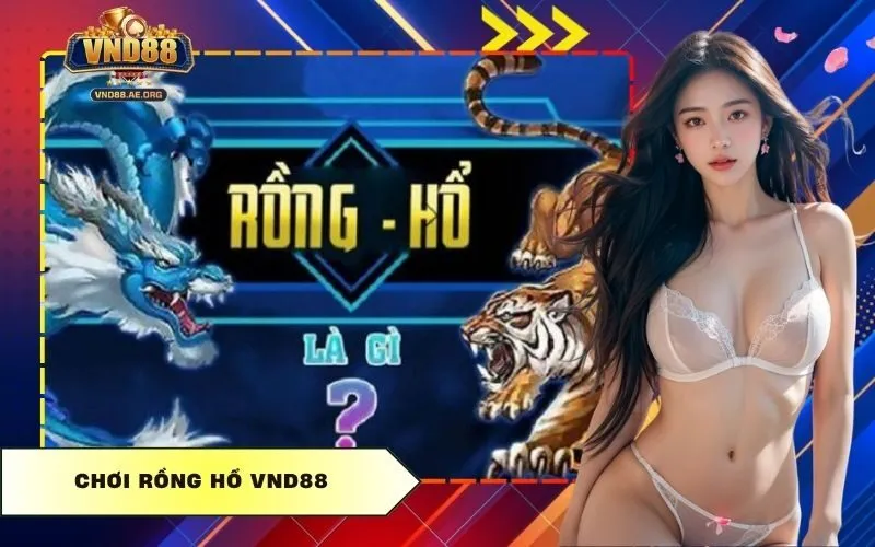Chơi Rồng Hổ Vnd88