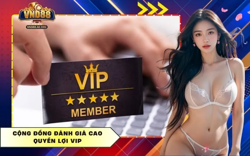 Cộng đồng đánh giá cao quyền lợi VIP