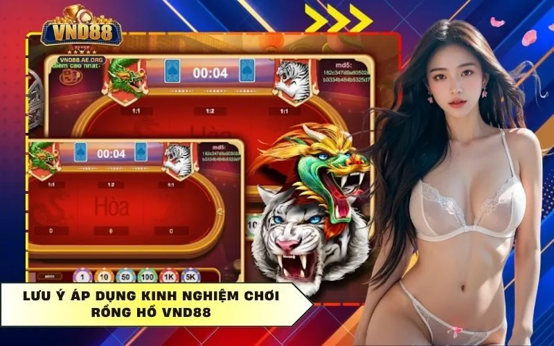 Lưu ý áp dụng Kinh nghiệm chơi Rồng Hổ Vnd88
