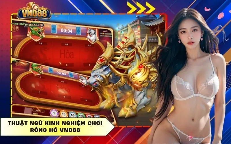 Thuật ngữ Kinh nghiệm chơi Rồng Hổ Vnd88