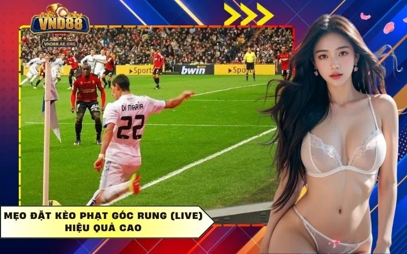 Mẹo Đặt Kèo Phạt Góc Rung (Live) Hiệu Quả Cao
